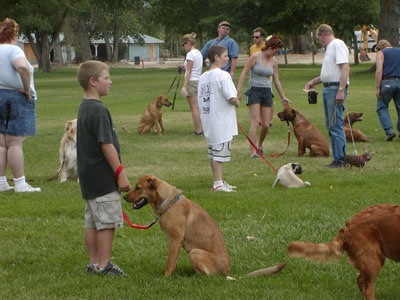 dogfriendly