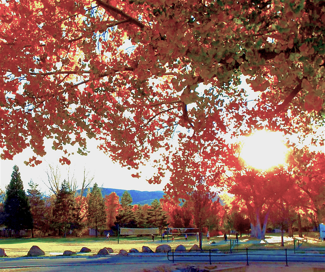 Mills Park