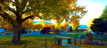 millspark